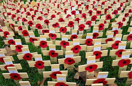 simsearch:841-07201683,k - Wooden crosses and poppies in the field of remembrance at Westminster Abbey to commemorate those who have died in battle. Three of the crosses represent members of the Black Watch Regiment who have recently died in Iraq. Photographie de stock - Rights-Managed, Code: 841-07201681