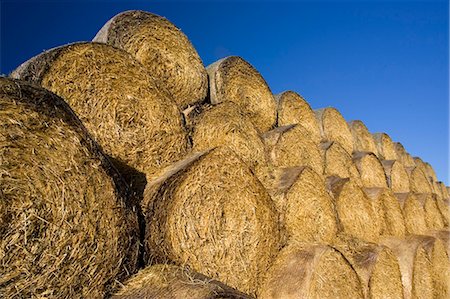 piled high - Stacked strawbales, The Cotswolds, Oxfordshire, United Kingdom Stock Photo - Rights-Managed, Code: 841-07201862