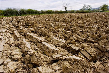 dry cracking earth - Earth of ploughed field, Wyck Rissington, Gloucestershire, United Kingdom Stock Photo - Rights-Managed, Code: 841-07201925