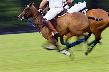 speed - Ponies and riders at Guards Polo Club in Windsor, United Kingdom Stock Photo - Rights-Managed, Code: 841-07202010