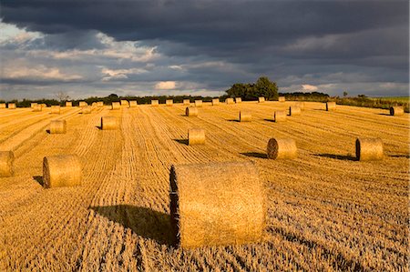 Straw bales below a stormy sky, Swinbrook, the Cotswolds, United Kingdom Stock Photo - Rights-Managed, Code: 841-07202049
