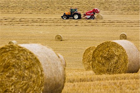 Tractor pulls a round baler to create straw bales, Cotswolds, United Kingdom Photographie de stock - Rights-Managed, Code: 841-07202051