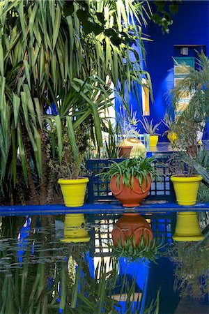 simsearch:841-05783321,k - Coloured pots and plants reflected in water basin, in Majorelle Garden, Marrakech, Morocco, North Africa, Africa Stock Photo - Rights-Managed, Code: 841-07202137