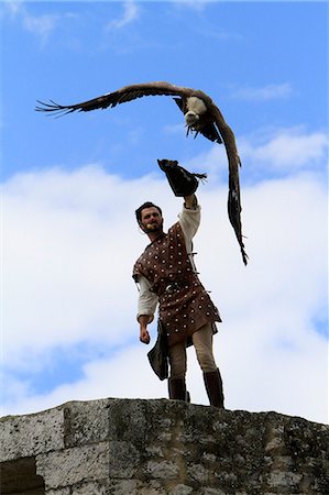 silhouette of animals and birds - Hawker and the legend of the knights during the medieval festival of Provins, UNESCO World Heritage Site, Seine et Marne, France, Europe Stock Photo - Rights-Managed, Code: 841-07202322