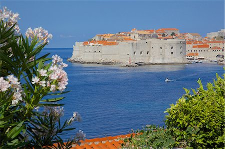 simsearch:841-07202469,k - View of Old Town, Cavtat, Dubrovnik Riviera, Dalmatian Coast, Dalmatia, Croatia, Europe Foto de stock - Con derechos protegidos, Código: 841-07202474
