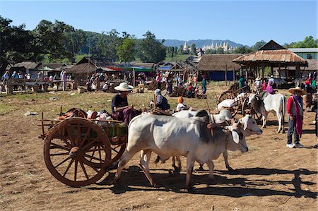 simsearch:841-06343838,k - Thaung Tho tribal market at southern end of lake, Inle Lake, Shan State, Myanmar (Burma), Asia Stock Photo - Rights-Managed, Code: 841-07202529