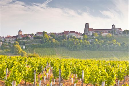 Vineyards below the hilltop village of Vezelay in Burgundy, France, Europe Photographie de stock - Rights-Managed, Code: 841-07202657