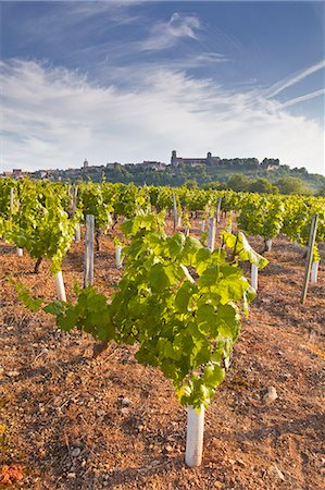 Vineyards below the hilltop village of Vezelay in Burgundy, France, Europe Stock Photo - Rights-Managed, Code: 841-07202659