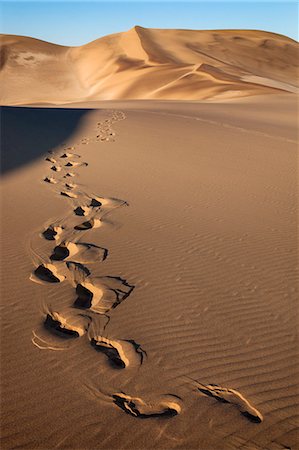 pegadas - Footprints on sand dunes near Swakopmund, Dorob National Park, Namibia, Africa Foto de stock - Direito Controlado, Número: 841-07355039