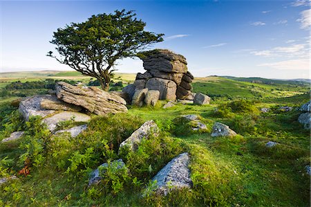 dartmoor national park - Summer at Saddle Tor in Dartmoor National Park, Devon, England, United Kingdom, Europe Photographie de stock - Rights-Managed, Code: 841-07355117