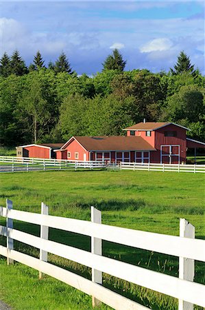 Barn on Vashon Island, Tacoma, Washington State, United States of America, North America Foto de stock - Con derechos protegidos, Código: 841-07355113