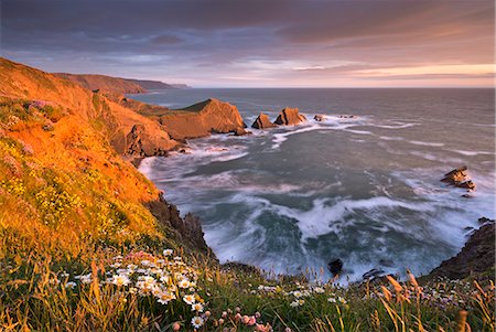 Glorious evening sunlight illuminates the dramatic cliffs of Hartland Quay, looking towards Screda Point, Devon, England, United Kingdom, Europe Stock Photo - Rights-Managed, Code: 841-07355166