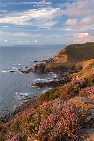 Little Barton Strand from Pencannow Point, Crackington Haven, Cornwall, England, United Kingdom, Europe Photographie de stock - Rights-Managed, Code: 841-07355201