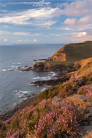 Little Barton Strand from Pencannow Point, Crackington Haven, Cornwall, England, United Kingdom, Europe Foto de stock - Con derechos protegidos, Código: 841-07355201