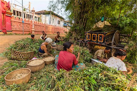 simsearch:841-07081527,k - The village of Angkor Ban, on the banks of the Mekong River, Battambang Province, Cambodia, Indochina, Southeast Asia, Asia Stockbilder - Lizenzpflichtiges, Bildnummer: 841-07457063