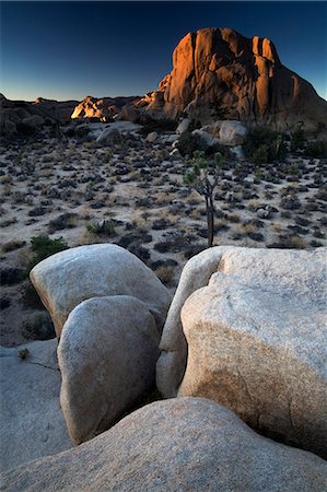 parc national joshua tree - Landscape, Joshua Tree National Park, California, United States of America, North America Photographie de stock - Rights-Managed, Code: 841-07457368
