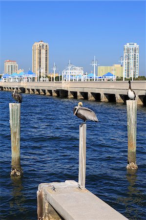 st petersburg (florida) - St. Petersburg skyline, Tampa, Florida, United States of America, North America Foto de stock - Con derechos protegidos, Código: 841-07457479