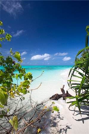 Beach on desert island, Maldives, Indian Ocean, Asia Foto de stock - Con derechos protegidos, Código: 841-07457520