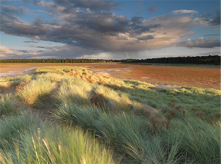 A stormy sky on a late summer evening at Holkham Bay, Norfolk, England, United Kingdom, Europe Photographie de stock - Rights-Managed, Code: 841-07457726