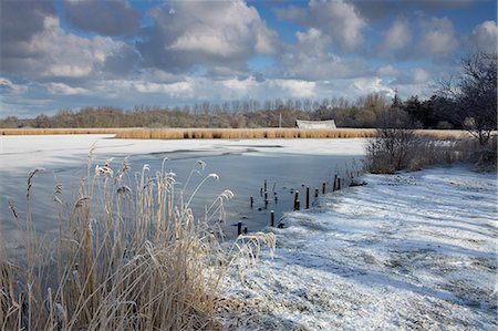 A cold winter day in the Norfolk Broads showing a frozen Horsey Mere, Horsey, Norfolk, England, United Kingdom, Europe Photographie de stock - Rights-Managed, Code: 841-07457754