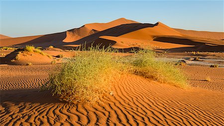 simsearch:841-07355039,k - Evening light on the sand dunes at Sossusvlei, Namib Naukluft, Namibia, Africa Stock Photo - Rights-Managed, Code: 841-07457853