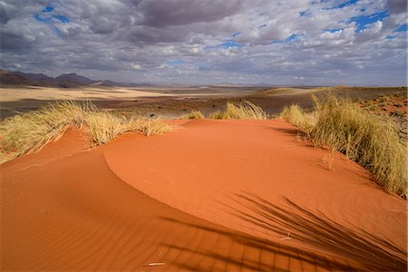 simsearch:6119-08351228,k - Brooding clouds over the vivid red dunes of NamibRand, Namib Desert, Namibia, Africa Foto de stock - Con derechos protegidos, Código: 841-07457869