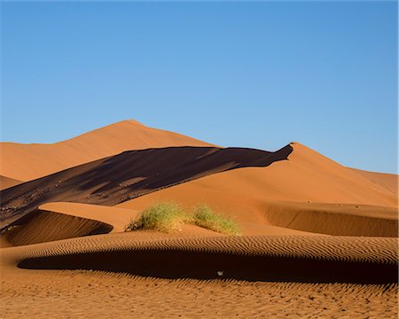 simsearch:841-02917906,k - Looking towards Big Daddy and Mummy dunes at Deadvlei, Namib Naukluft, Namibia, Africa Photographie de stock - Rights-Managed, Code: 841-07457860