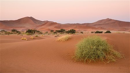 sossusvlei - Soft pinks at dusk, Sossusvlei, Namib Naukluft, Namibia, Africa Fotografie stock - Rights-Managed, Codice: 841-07457861