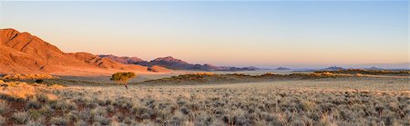 simsearch:841-07204572,k - The setting sun lights up a lone acacia tree and the mountains of NamibRand, Namib Desert, Namibia, Africa Photographie de stock - Rights-Managed, Code: 841-07457884