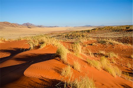 simsearch:841-07081750,k - The red oxidised sand of the NamibRand dunes, Namib Desert, Namibia, Africa Stock Photo - Rights-Managed, Code: 841-07457883