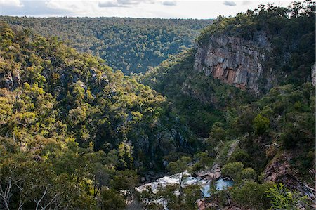 simsearch:841-03067329,k - McKenzie Falls in the Grampians National Park, Victoria, Australia, Pacific Photographie de stock - Rights-Managed, Code: 841-07524005