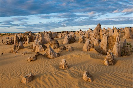 simsearch:841-03067783,k - The Pinnacles limestone formations at sunset in Nambung National Park, Western Australia, Australia, Pacific Photographie de stock - Rights-Managed, Code: 841-07524017