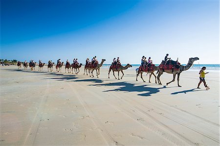 Tourists riding on camels on Cable Beach, Broome, Western Australia, Australia, Pacific Photographie de stock - Rights-Managed, Code: 841-07524019