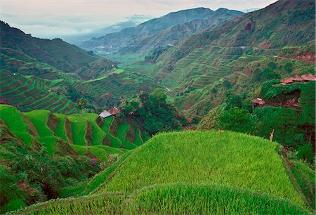 Rice Terraces, Banaue,Philippines Stock Photo - Rights-Managed, Code: 841-07523479