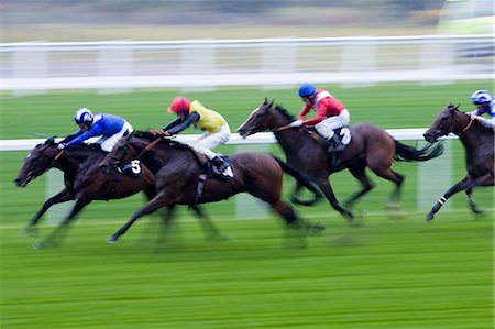 racecourse - Horseracing at Ascot Racecourse, Berkshire, England, United Kingdom Stock Photo - Rights-Managed, Code: 841-07523526