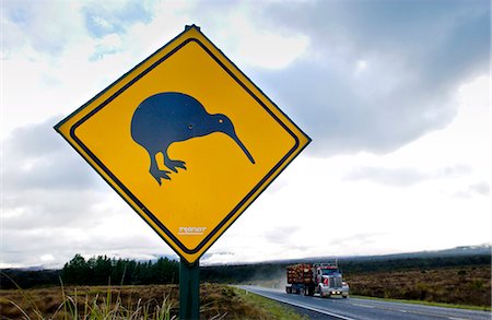 simsearch:841-07201597,k - Freight transport truck passes road traffic sign - look out for kiwis, North Island, New Zealand Stockbilder - Lizenzpflichtiges, Bildnummer: 841-07523601