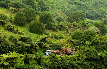scenic north island roads - Logging truck, New Zealand Foto de stock - Con derechos protegidos, Código: 841-07523611