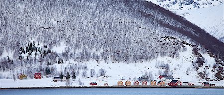 Homes and fishing huts  in hamlet across fjord from Sandneshamnvegen 862 on Kvaloya Island, Tromso, Arctic Circle, Northern Norway Stockbilder - Lizenzpflichtiges, Bildnummer: 841-07523681