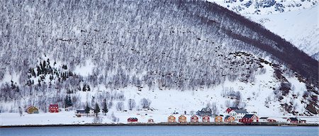 simsearch:600-03665466,k - Homes and fishing huts  in hamlet across fjord from Sandneshamnvegen 862 on Kvaloya Island, Tromso, Arctic Circle, Northern Norway Photographie de stock - Rights-Managed, Code: 841-07523681