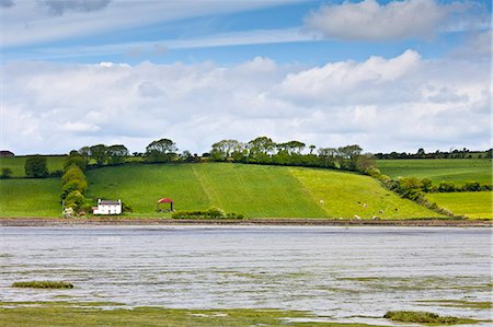 farmhouse - Hill farm smallholding on hill slope overlooking Courtmacsherry Bay near Timoleague, West Cork, Ireland Stock Photo - Rights-Managed, Code: 841-07523756
