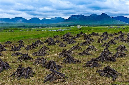 Stacked peat in turf bog on the Old Bog Road near Roundstone, Connemara, County Galway Stock Photo - Rights-Managed, Code: 841-07523778
