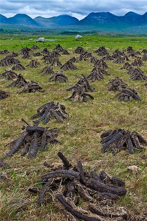 Stacked peat in turf bog on the Old Bog Road near Roundstone, Connemara, County Galway Foto de stock - Con derechos protegidos, Código: 841-07523779