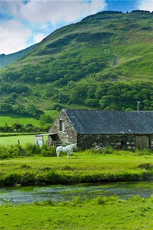 simsearch:841-06447974,k - Welsh pony in typical Welsh mountain landscape at Abergynolwyn in Snowdonia, Gwynedd, Wales Stock Photo - Rights-Managed, Code: 841-07523791