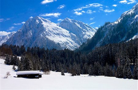 Snow covered barns in the meadows below the Alps at Klosters - Amongst the Silvretta group of the Swiss Alps. Road to Silvretta.Mountain at right is P.Linard 3411 metres high Stock Photo - Rights-Managed, Code: 841-07523820