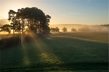 Early morning by Eden Bridge, Eden Valley, Cumbria, England, United Kingdom, Europe Stock Photo - Rights-Managed, Code: 841-07523872