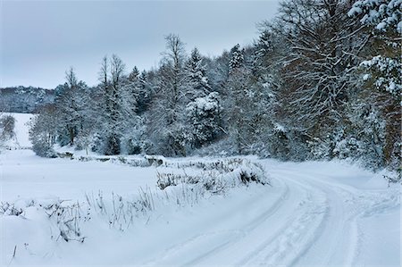 simsearch:700-08002185,k - Snow scene in The Cotswolds, UK Stockbilder - Lizenzpflichtiges, Bildnummer: 841-07540390