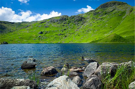 Mallard ducks in lakeland countryside at Easedale Tarn lake in the Lake District National Park, Cumbria, UK Photographie de stock - Rights-Managed, Code: 841-07540508