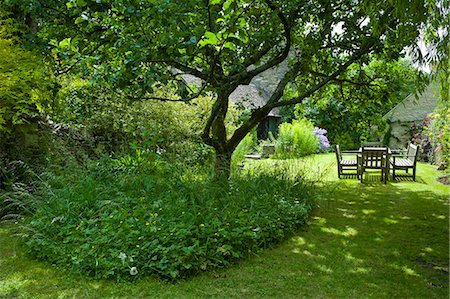 english garden not people - English cottage garden in Swinbrook in The Cotswolds, Oxfordshire, UK Stock Photo - Rights-Managed, Code: 841-07540500