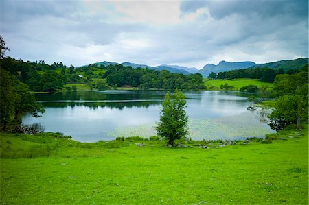 Loughrigg Tarn lake in the Lake District National Park, Cumbria, UK Stock Photo - Rights-Managed, Code: 841-07540513