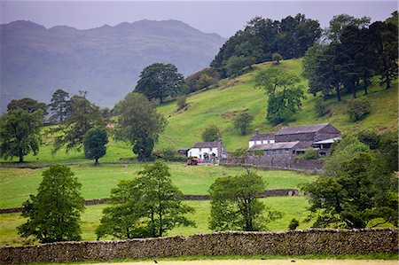 simsearch:841-07201988,k - View of Helvellyn from Easedale near Grasmere in the Lake District National Park, Cumbria, UK Stockbilder - Lizenzpflichtiges, Bildnummer: 841-07540541